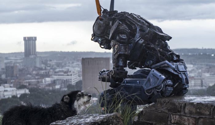 Chappie movie