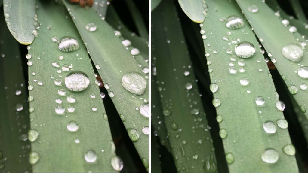 iphone 6 vs iphone SE camera