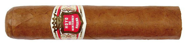 Hoyo de Monterrey Petit Robusto