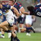 Brumbies Rebels