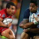 Reds Waratahs