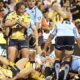 Brumbies Waratahs