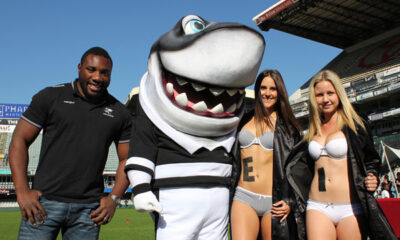 Sharkie and the Sharks girls