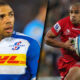 Stormers v Reds