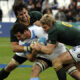 Springboks vs Argentina