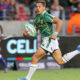 Cheslin Kolbe 1