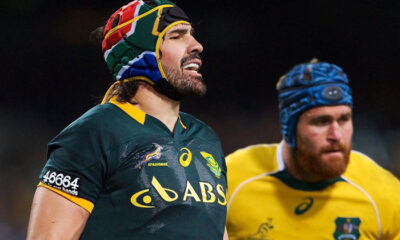 Springboks vs Wallabies