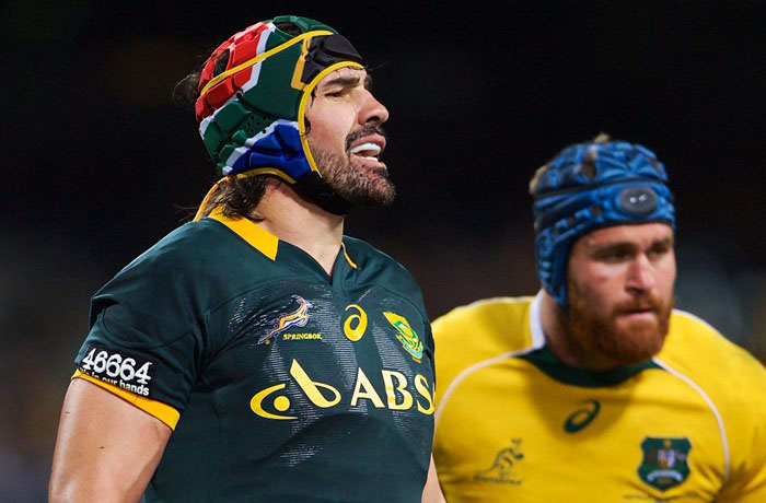 Springboks vs Wallabies