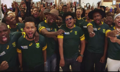 Springbok fans