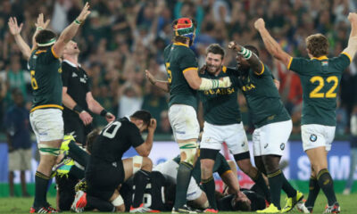 Springboks All Blacks