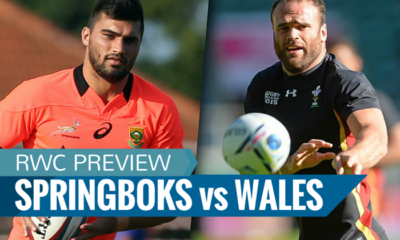 Springboks vs Wales preview