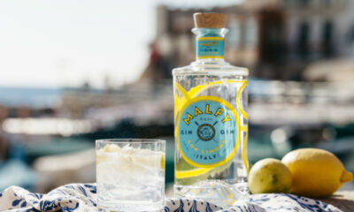 MAlfy Italian Gin header 1