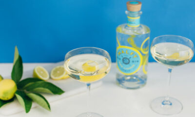 Malfy Italian gin header 2