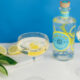 Malfy Italian gin header 2