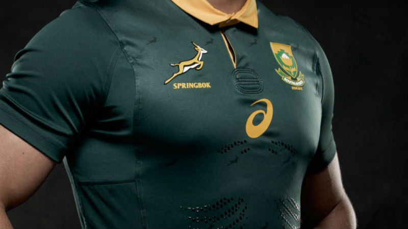 Springbok Jersey header