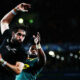 Springboks All Blacks header 2