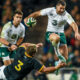 Ireland Springboks