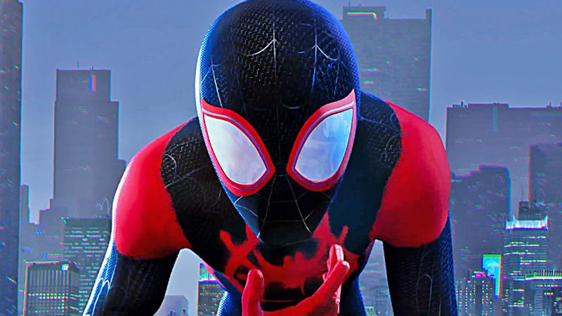 Spider-Man into the spiderverse