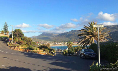 Fish Hoek pic Whale of a Time